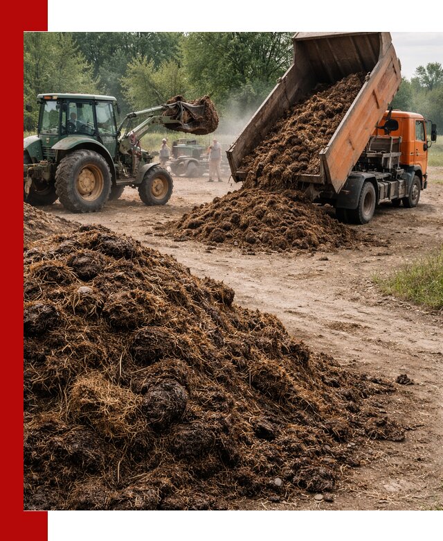 Доставка навоза самосвалами в Чистополе для сельхозпотребностей